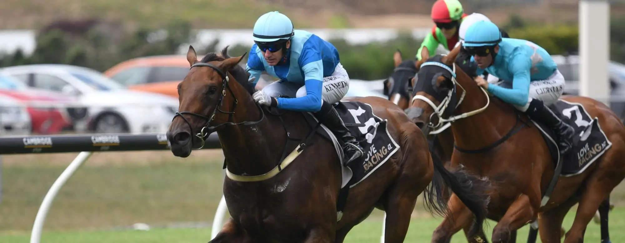 New Zealand's $3 Billion Online Gambling Shake-up