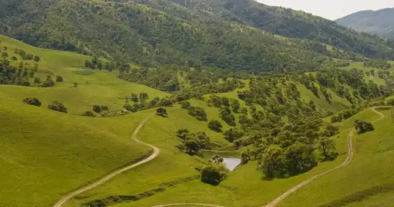 Regional and Rural Challenges